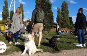 Në Gjermani, për të marrë një qen duhet të kalosh provimin – rregull i ri për pronësinë e përgjegjshme të kafshëve