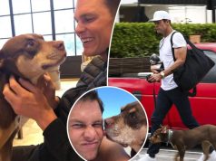 Tom Brady klonon qenin e tij – një “mundësi e dytë” për familjen e legjendës së NFL