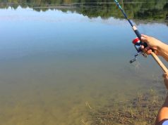 Nga deti në treg me transparencë totale – Shqipëria fut sistemin CATCH kundër peshkimit të paligjshëm