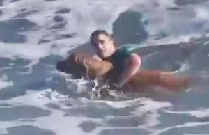 Video/ Det i trazuar, një qen në mëshirë të dallgëve dhe një hero që u shfaq nga hiçi për ta shpëtuar