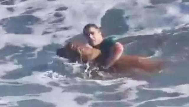 092810728-481bfeea-15f6-48a2-a9ac-03dfab97bae0