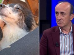 Nga dhuna në Kiras tek adoptimi në Tiranë: Dashnor Sula merr nën kujdes qenushen e hedhur në plehra