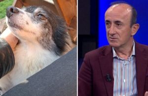 Nga dhuna në Kiras tek adoptimi në Tiranë: Dashnor Sula merr nën kujdes qenushen e hedhur në plehra