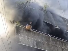 Heroizëm në Filipine: Gruaja rrezikon jetën për të shpëtuar qentë nga zjarri që përfshiu banesën e saj