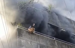 Heroizëm në Filipine: Gruaja rrezikon jetën për të shpëtuar qentë nga zjarri që përfshiu banesën e saj