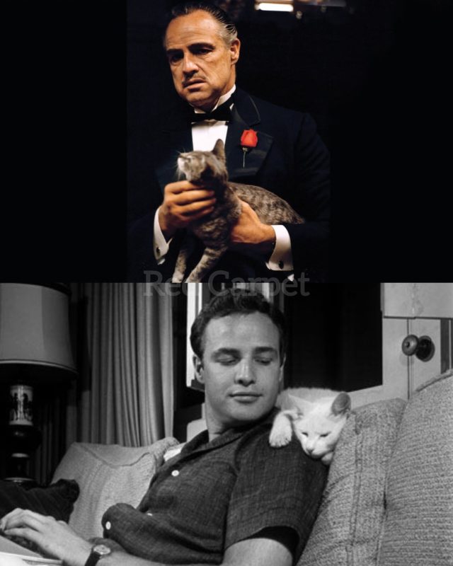 591280157_122233454966103418_6046435201335081458_n