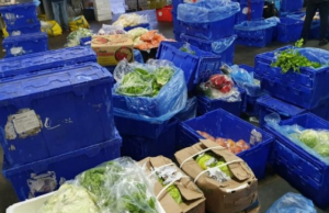 Rritet varësia nga importet e ushqimeve, 1.4 miliardë euro në 10-mujor