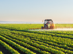 Kërkesa do bëhet dy herë në vit/ Fermerët duhet të nisin grumbullimin e faturave për kompensimin 10%