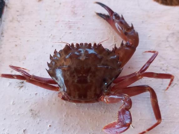 6936974912972.r_d.600-848-4767