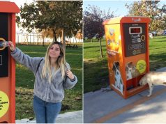 Kotor, qyteti që ushqen macet e rrugës duke ricikluar shishe plastike