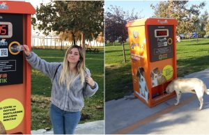 Kotor, qyteti që ushqen macet e rrugës duke ricikluar shishe plastike