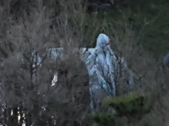 U gjet i pajetë brenda automjetit në Llogara, viktima ish-polic 32-vjeçar