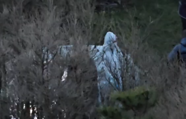 -900-0-1765826294xscreenshot-45-427