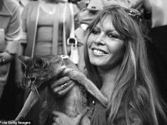 Postimet e fundit të Brigitte Bardot me kafshët: “I dhashë rininë dhe bukurinë time njerëzve, tani u jap kafshëve përvojën dhe më të mirën e vetes sime.”