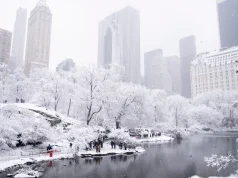 Stuhia më e madhe e dëborës në vite godet New York-un