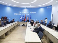 Salianji nën presion: përplasje me Berishën dhe akuza për manipulim strukturash