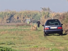 Po punonte tokën me traktor, vdes burri në Fier.