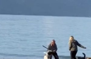 Lajm është kur njeriu ha qenin! Postulati për gazetarët fillestarë që vlen sot për mediat të cilat po keqinterpretojnë videon nga Vlora. Turistja i qetësoi qentë endacakë duke i hequr shkopin të moshuarit