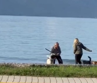 Screenshot 2025-12-01 123318