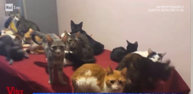 Screenshot 2025-12-18 112008