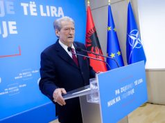 Skandali me tenderat, Berisha: AKSHI kopshti privat i Ramës! Protagonistë baxhanaku”peshkaqen” Armand Frangu dhe patronazhistja Linda Rama