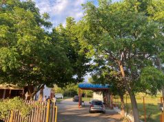 LEZHË – Sekuestro masive pasurish të përfituara nga aktiviteti kriminal, 29 prona të bllokuara në 2 muaj