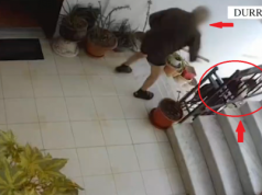 Tentoi të vriste bashkëshorten, arrestohet 76-vjeçari në Durrës: e goditi me shkop dru pas koke