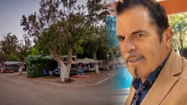 foinikounta2_mesa_131225-782x440