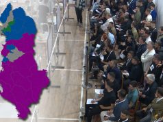 Investigimi i BIRN: Mijëra punonjës morën lejet vjetore për t’u angazhuar për fushatë