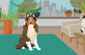 Lista e luleve helmuese/ Si të rrisni bimë në shtëpi pa rrezikuar kafshët tuaja.