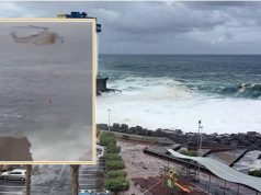 Tragjedi në Tenerife/ Dallgët anormale u marrin jetën 4 personave në Los Gigantes