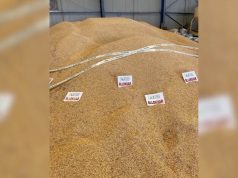 Serbia sjell misrin me aflatoxin në Shqipëri