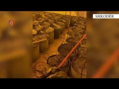 Banesën me qera e ktheu në shtëpi bari, arrestohet i riu në Shkodër, në pranga dhe punonjësi i OSHEE