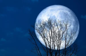 Superhëna siç nuk do ta shohim deri më 2045-ën, sjell efekte të dukshme edhe në Tokë; nga baticat te sjellja e kafshëve …dhe njeriut