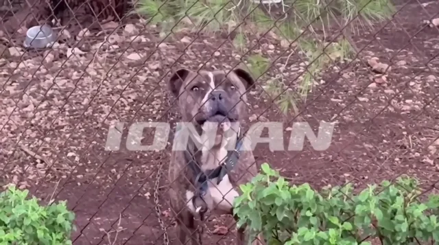 vlcsnap-2025-12-07-15h20m50s920