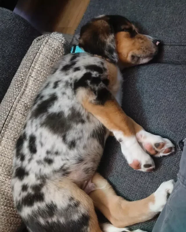 054313624-8b4e2711-7345-4de3-9302-58a73bc781bd