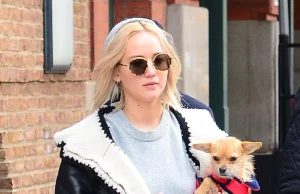 Braktisi qenin pasi i kafshoi të birin. Jennifer Lawrence në qendër të polemikave: “i shoh si kërcënim”. Në shtëpi mban vetëm macen