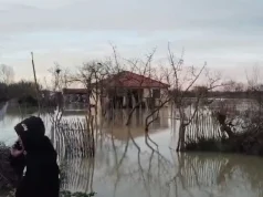 Çarja e argjinaturës së Semanit përmbyt tokat dhe banesat në Fier