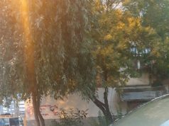 Shqipëria nën mëshirën e natyrës/ Shi, breshër, diell dhe acar…