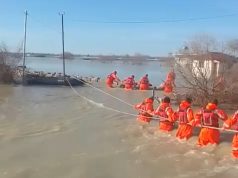 Pamje që të kthejnë besimin në humanizëm/ Ushtria në rresht për të shpëtuar bagëtitë nga përmbytja në Hasturkas