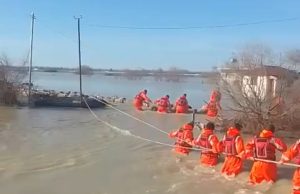 Pamje që të kthejnë besimin në humanizëm/ Ushtria në rresht për të shpëtuar bagëtitë nga përmbytja në Hasturkas