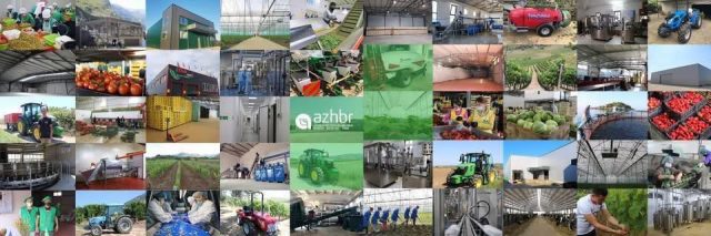 556019728_1103918731929477_3520311654523184887_n