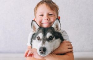 Qentë nuk janë lodra pellushi! Ekspertët: Fëmijëve u duhet bërë e qartë, për të shmangur kafshimet