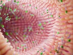 Flora bakteriale dhe çrregullimi bipolar: Zbulime të reja mbi lidhjen zorrë–tru