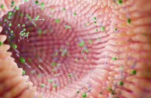 Flora bakteriale dhe çrregullimi bipolar: Zbulime të reja mbi lidhjen zorrë–tru