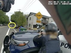 Incident tjetër në SHBA/ Dy persona plagosen nga oficerët e emigracionit në Portland