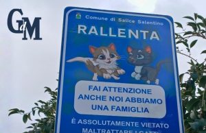 Një shembull për t’u ndjekur. Komuna italiane vendos sinjalistikë për mbrojtjen e maceve në qendër të qytetit