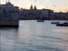 Itali / Bari – Misteri i sardeleve në portin e Santo Spirito