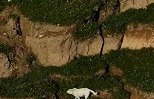 Rrëshqitja e tokës në Siçili. Shpëtohen kafshët nga shtëpitë e braktisura: 300 ndërhyrje të zjarrfikësve