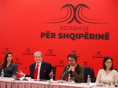 Berisha: Rama provokon qytetarët duke u nxjerrë Lubinë tek Ura e Mifolit! U bëj thirrje t’i gjuani me domate dhe vezë kudo që t’i shihni